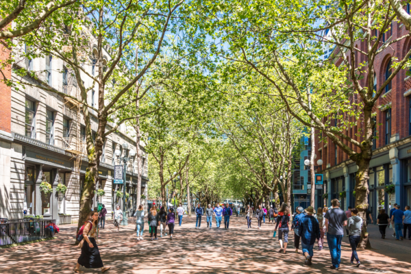 walkable community in Seattle shows view down street blocked off from traffic, with pedestrians walking on the street and sidewalks; green leafy trees arch overhead; mixed-use development lines the street - photo